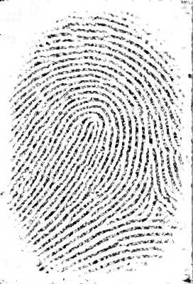 Fingerprint GAN